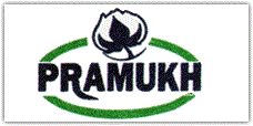 Pramukh Cotton Press